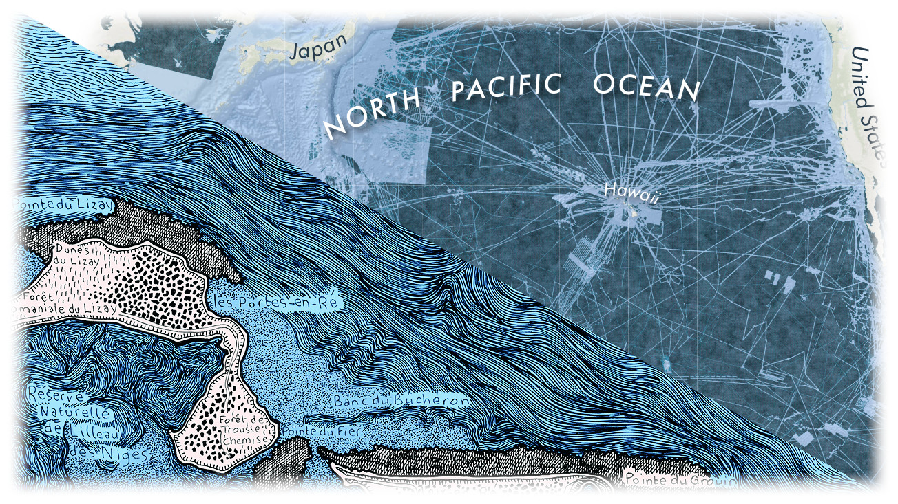 lookinside-bathymetric-1